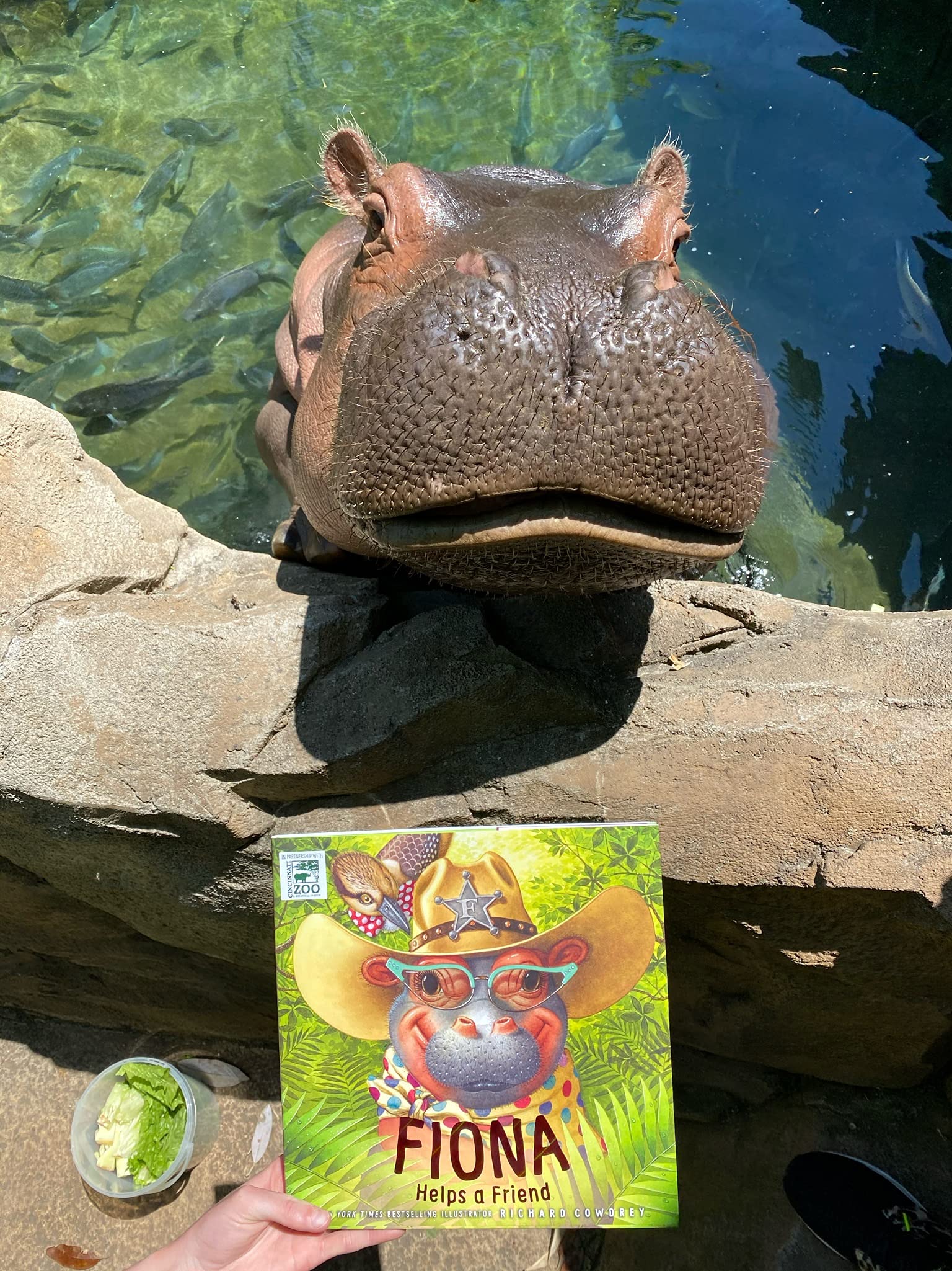 Thumb 5